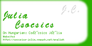 julia csocsics business card